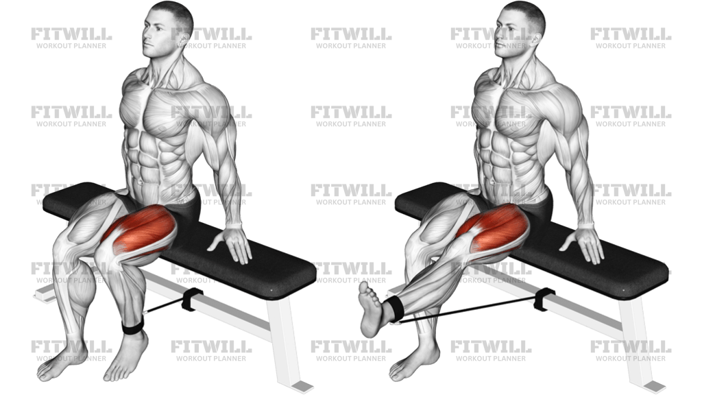 Band Seated Leg Extension