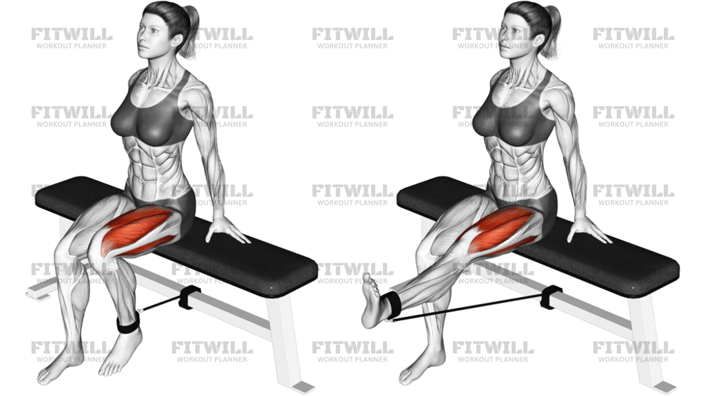 Band Seated Leg Extension