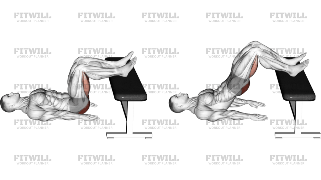 Glute Bridge Two Legs On Bench