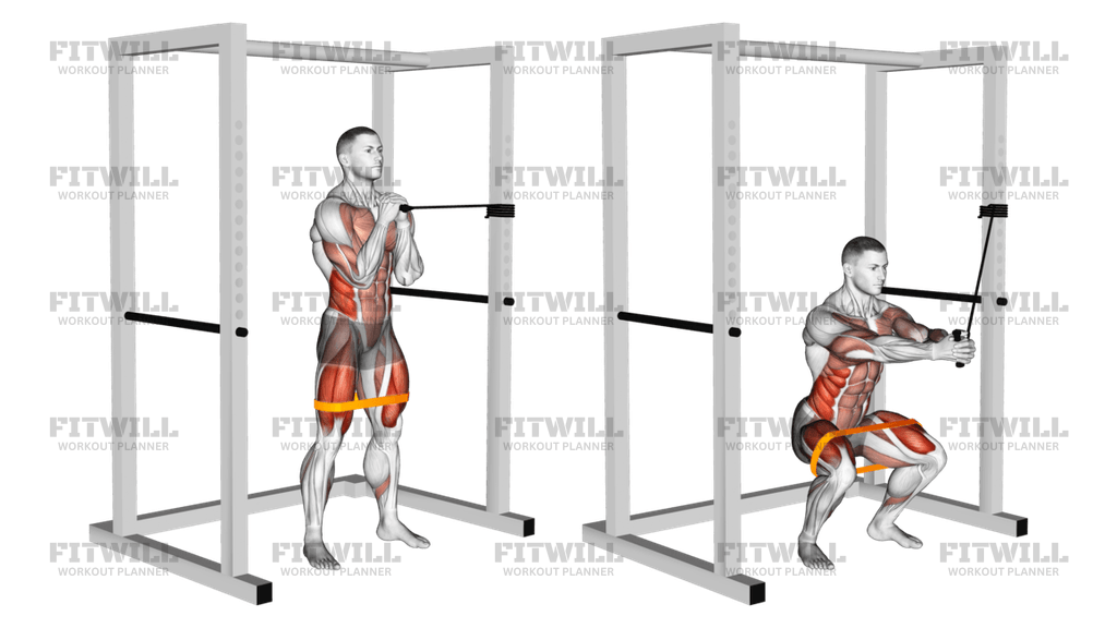 Anchored band squats hotsell
