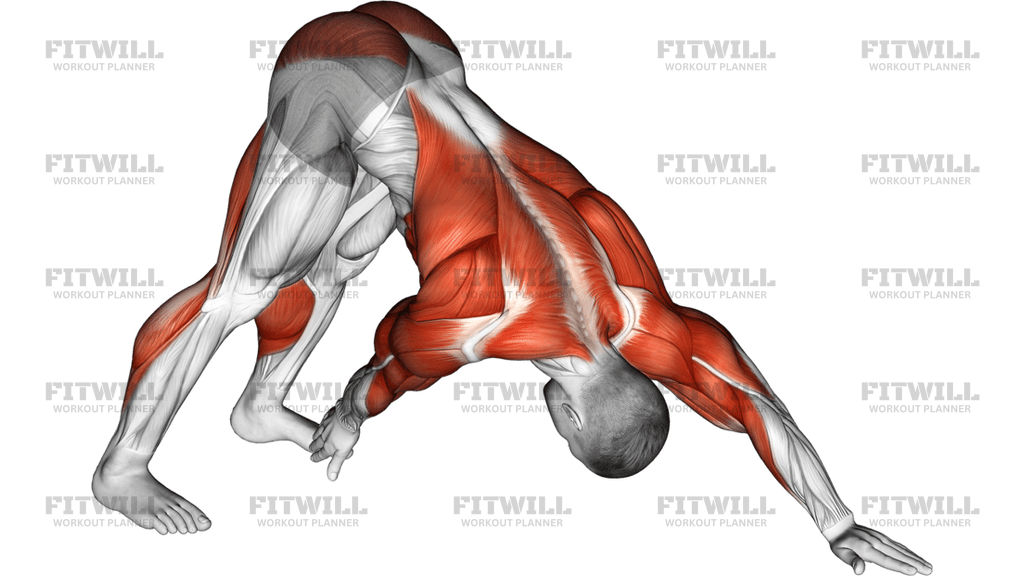 Άγγιγμα Δακτύλων Ποδιών Από Στάση Downward Facing Dog