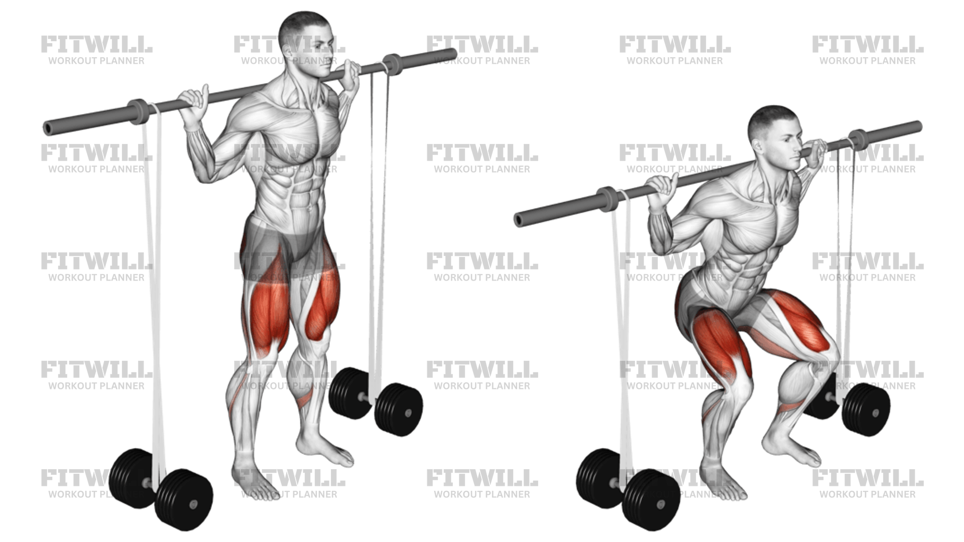 Banded barbell squat hotsell