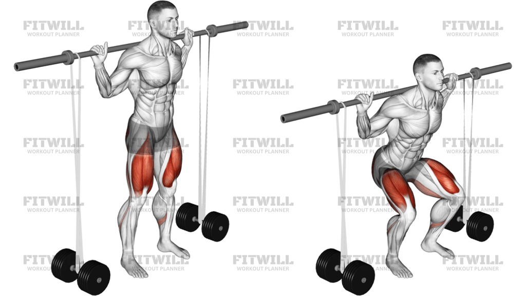 Barbell Banded Squat