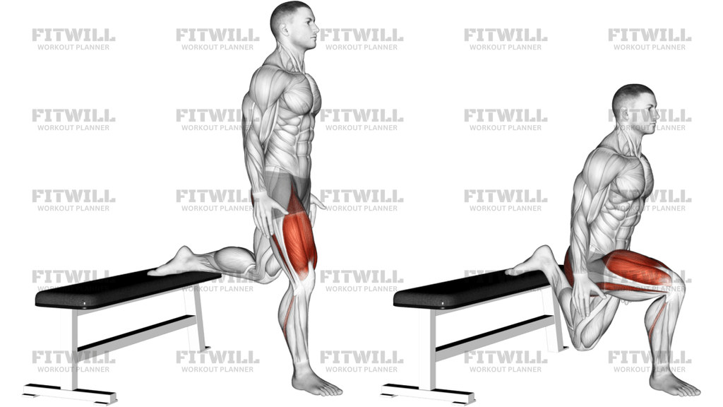 Bulgarian Split Squat