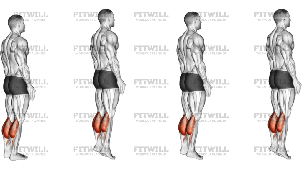 Bodyweight Standing Pulse Calf Raise