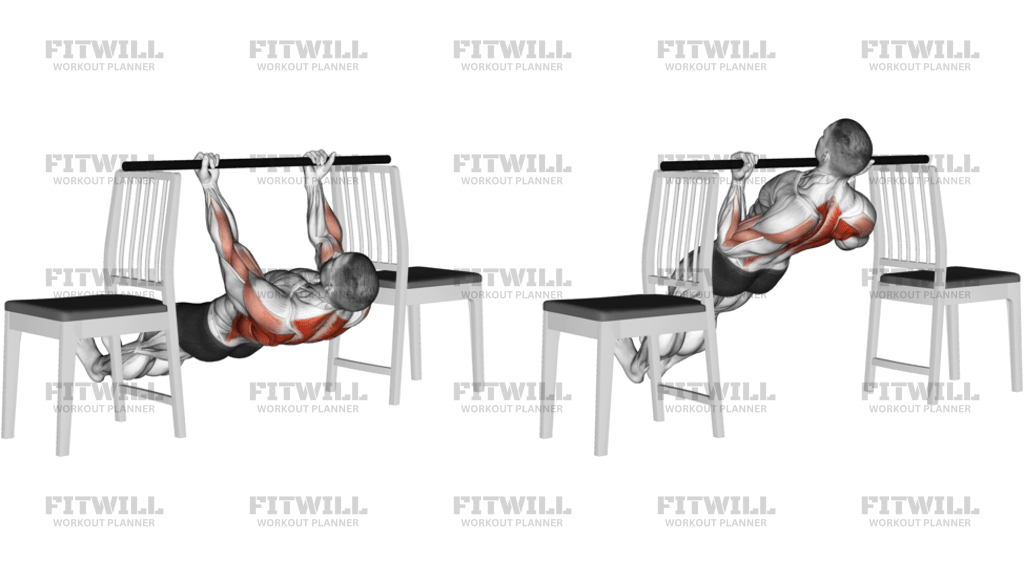 Inverted Underhand Grip Row Between Chairs