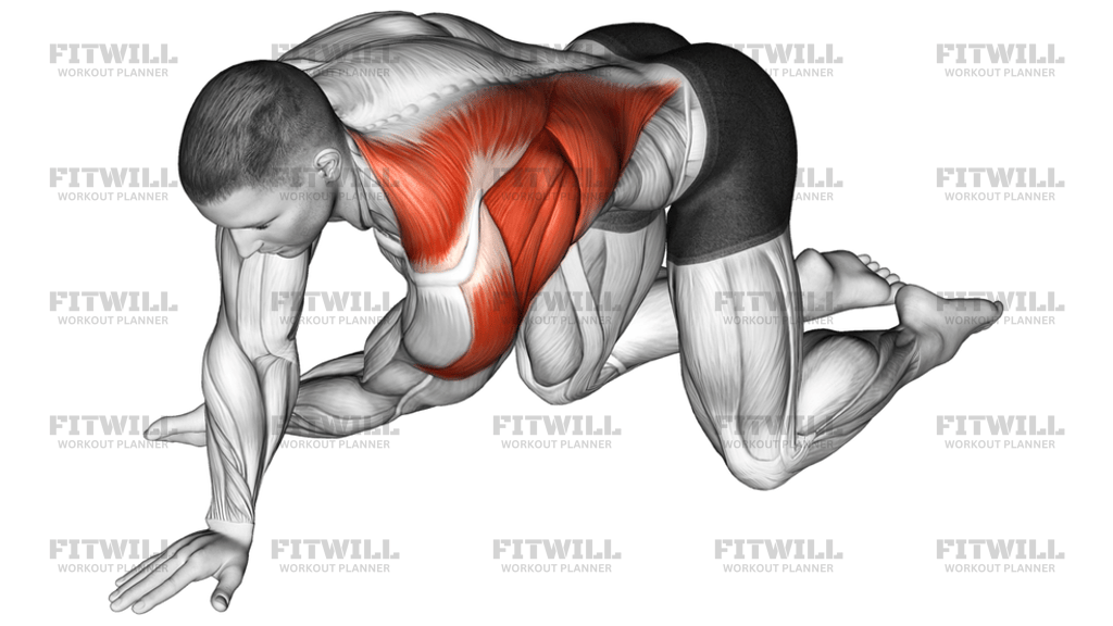 Kneeling T-Spine Mobility Stretching