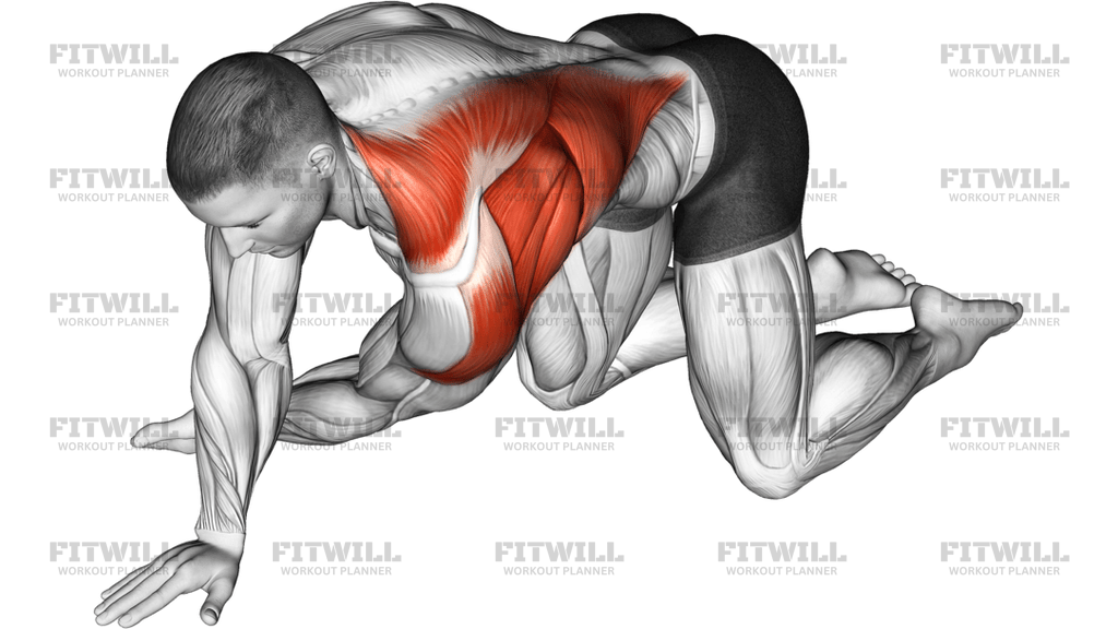 Kneeling T-Spine Mobility Stretching
