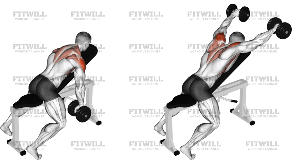 Dumbbell Incline Y-Raise
