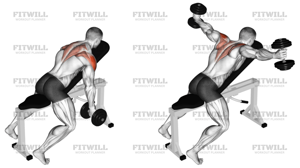 Dumbbell Incline T-Raise