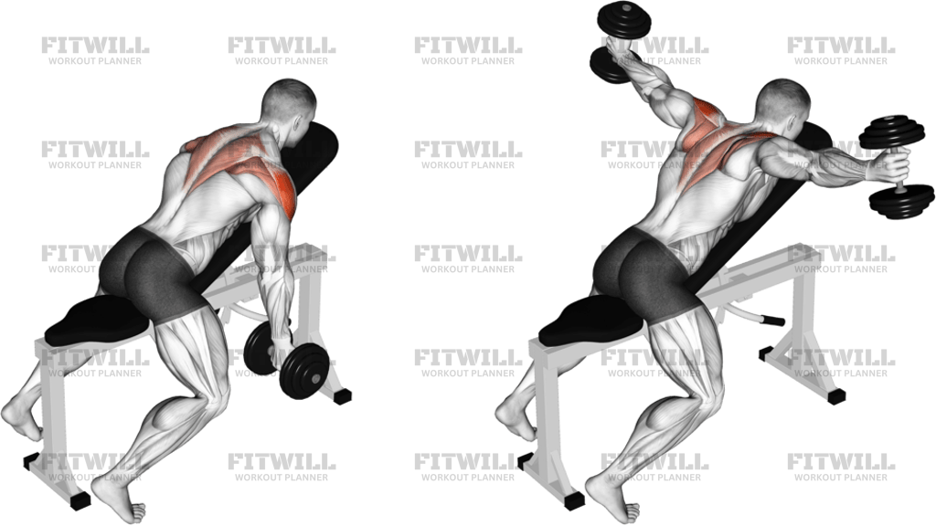 Dumbbell Incline T-Raise