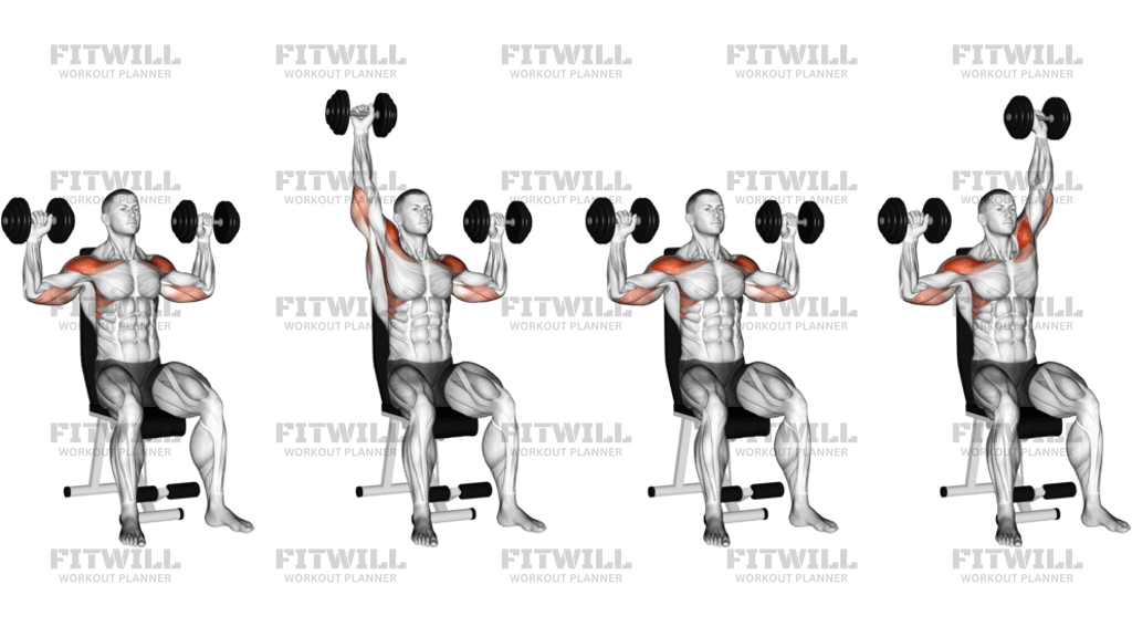 Dumbbell Seated Alternate Shoulder Press
