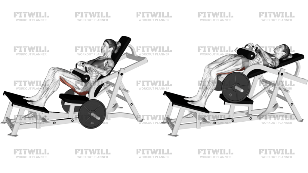 Lever Hip Thrust Plate Loaded