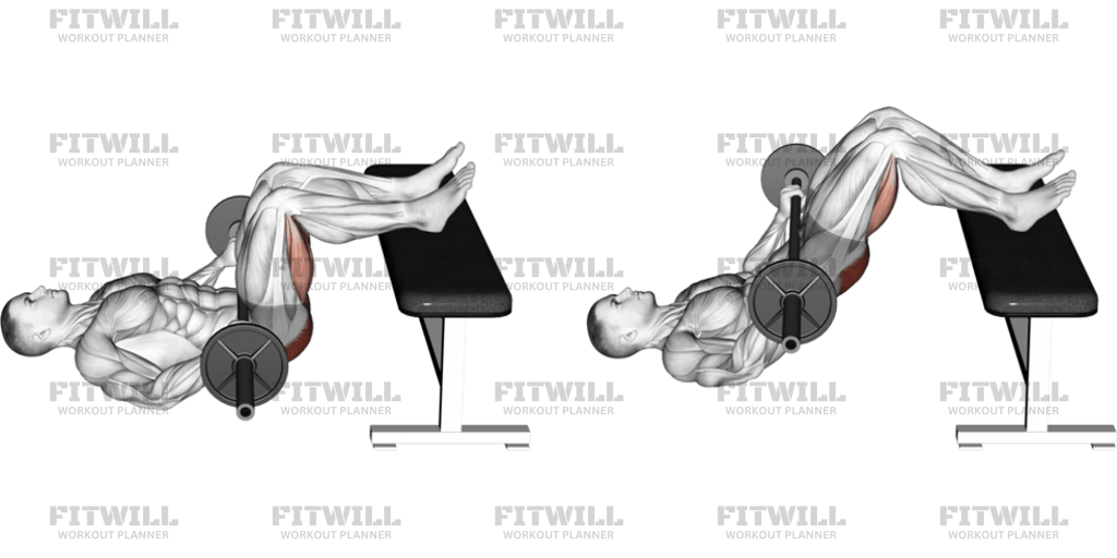Barbell Glute Bridge Two Legs On Bench: Exercise Guide, Techniques ...