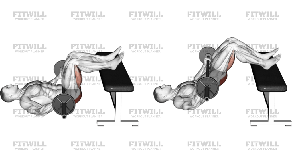 Barbell Glute Bridge Two Legs On Bench: Exercise Guide, Techniques ...