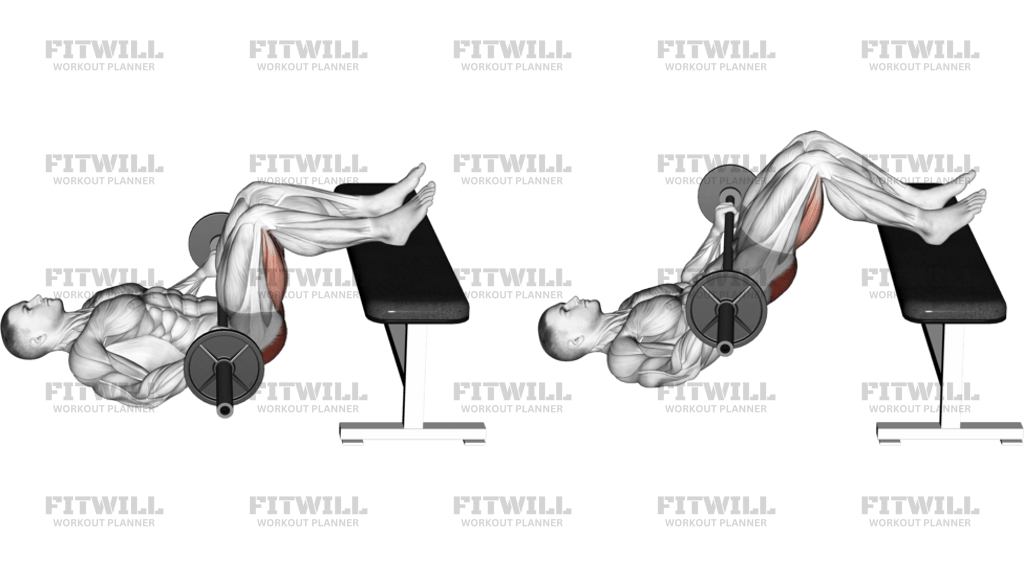 Barbell Glute Bridge Two Legs On Bench