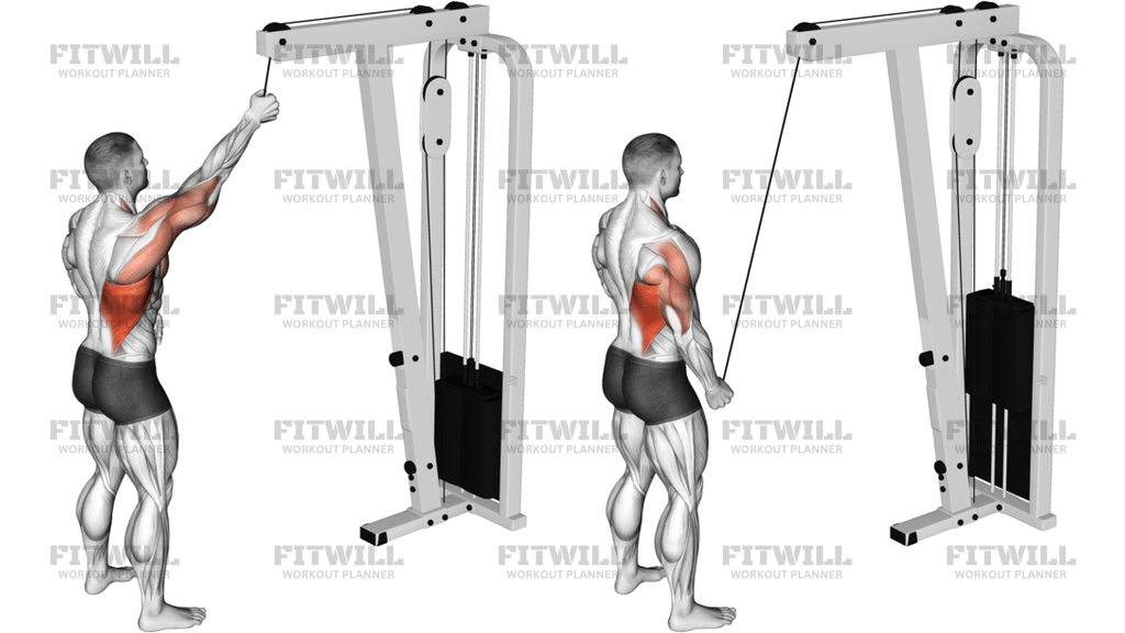 Cable One-Arm Pulldown