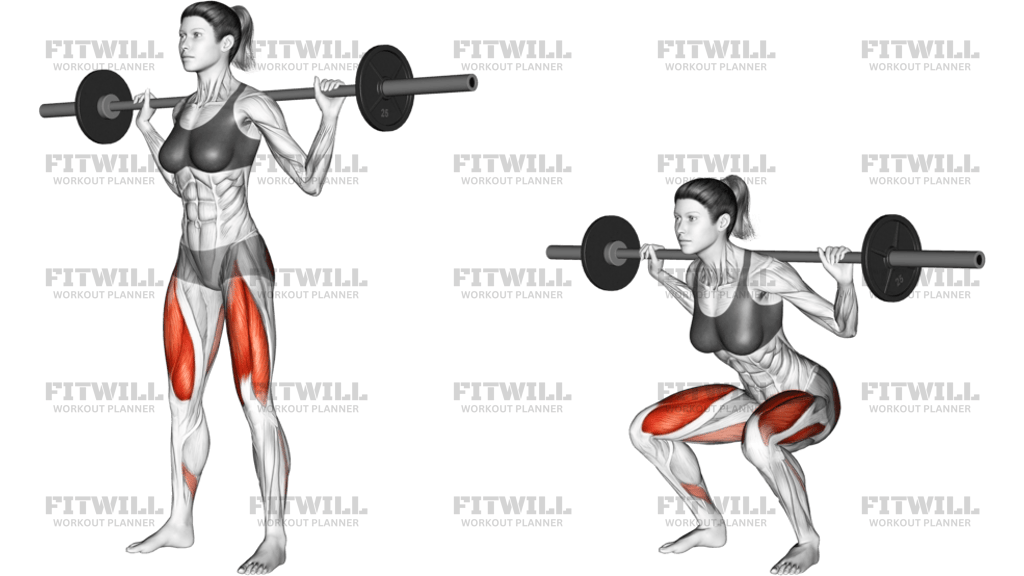 Barbell Squat