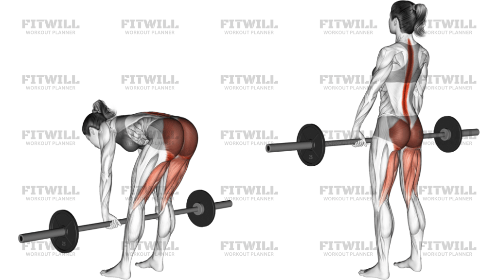 Barbell Straight Leg Deadlift