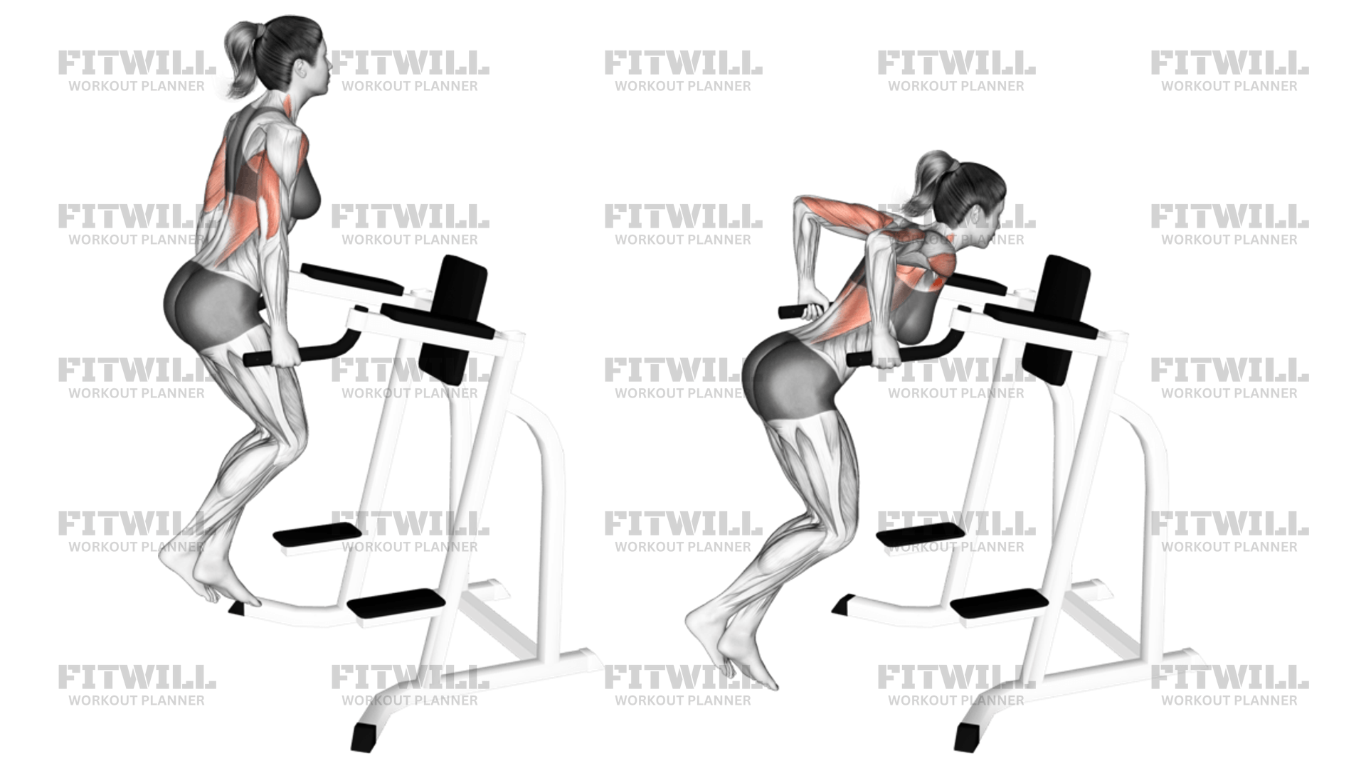Chest Dip: Exercise Guide, Video, Techniques, Benefits, How to, Muscles