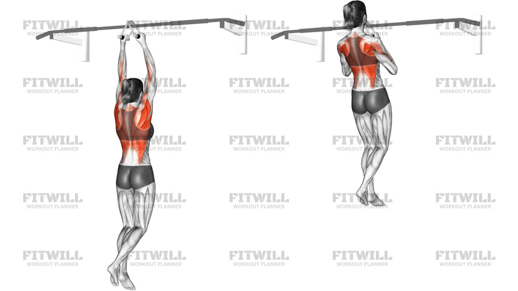 Chin-Ups Narrow Parallel Grip