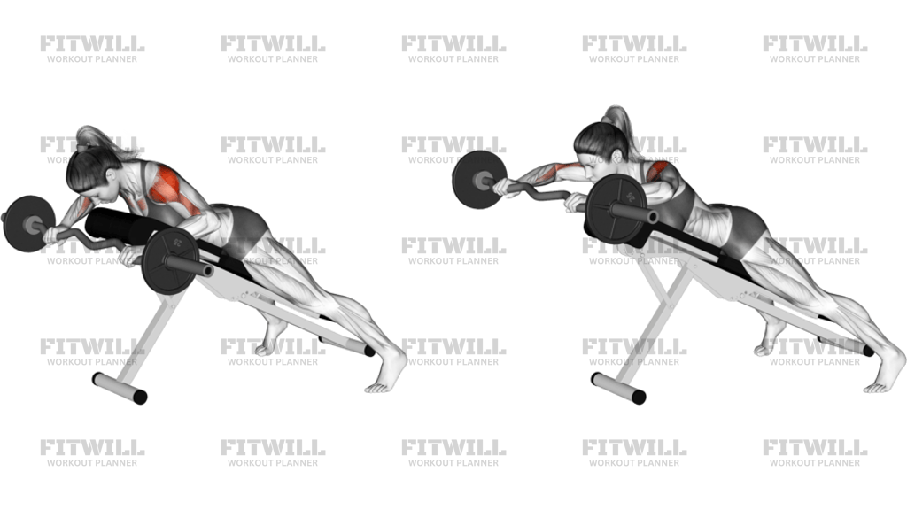 EZ Barbell Anti Gravity Press