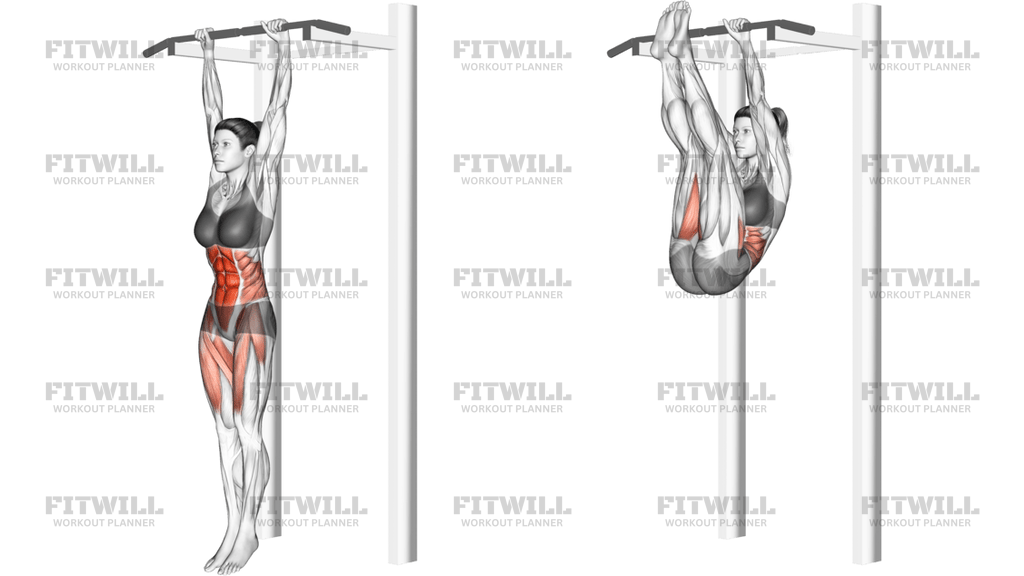 Hanging Straight Leg Hip Raise