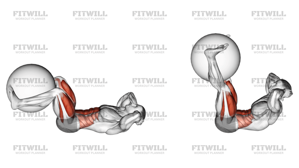 Leg Extension Crunch with Stability Ball Exercise Guide Video Techniques Benefits How to Muscles Worked Tips Tricks Fitwill