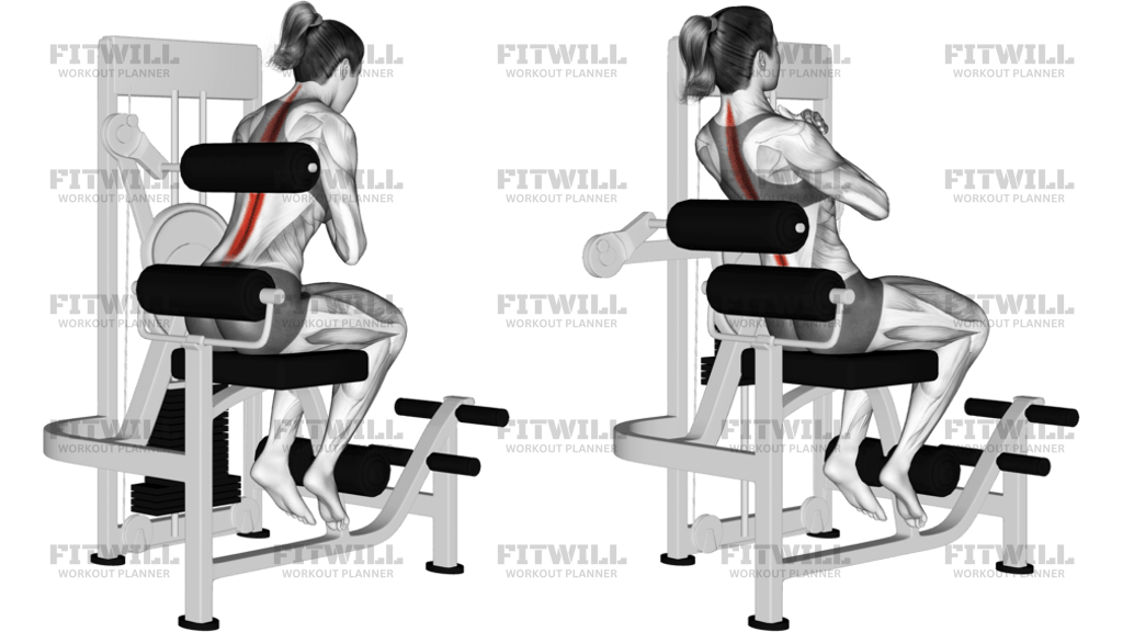Lever Back Extension