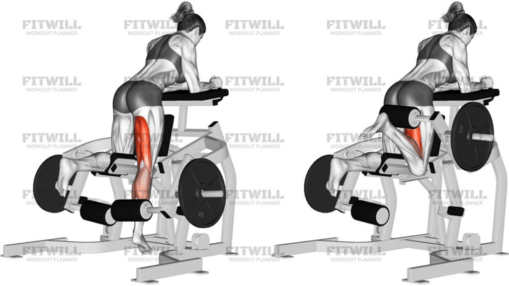 Lever Kneeling Leg Curl Plate Loaded