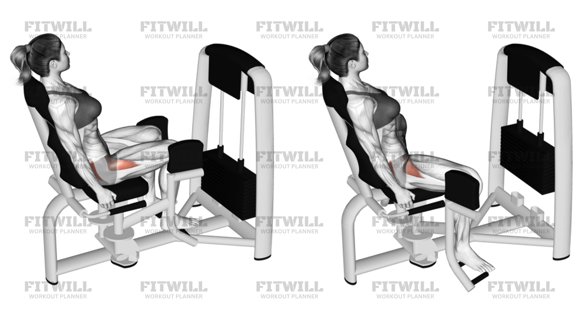 Lever Seated Hip Abduction Exercise Guide Video Techniques Benefits How to Muscles Worked Tips Tricks Fitwill