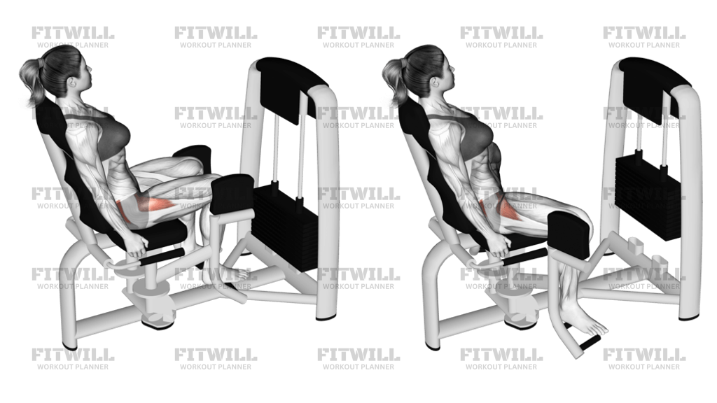 Seated machine hip abductions sale