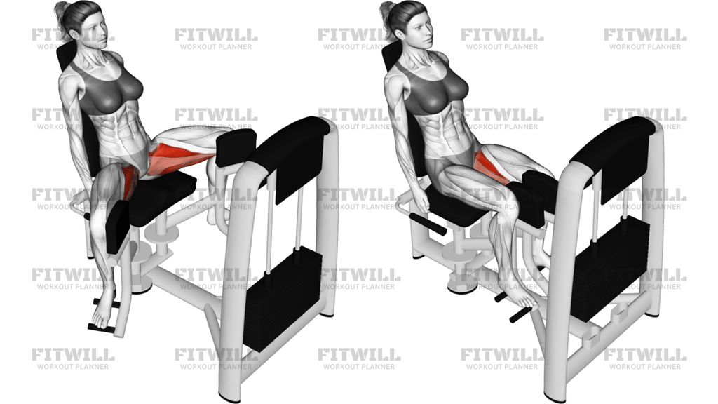 Lever Seated Hip Adduction