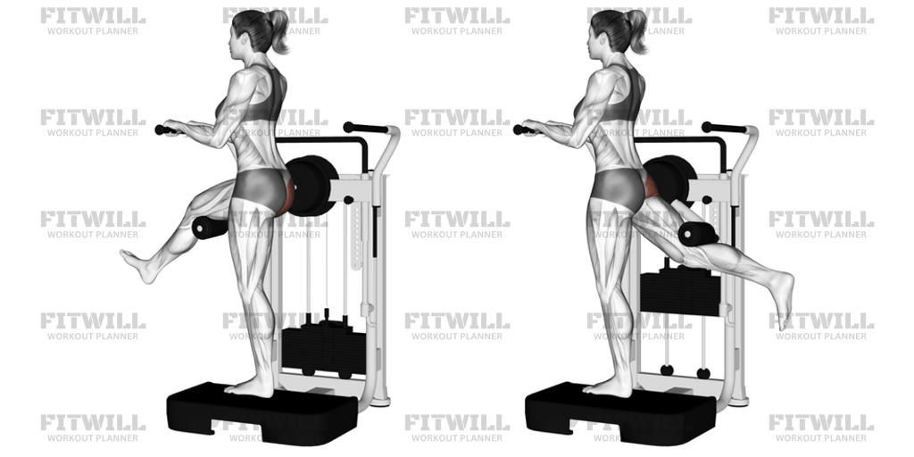 Lever Standing Rear Kick: Exercise Guide, Video, Techniques, Benefits ...