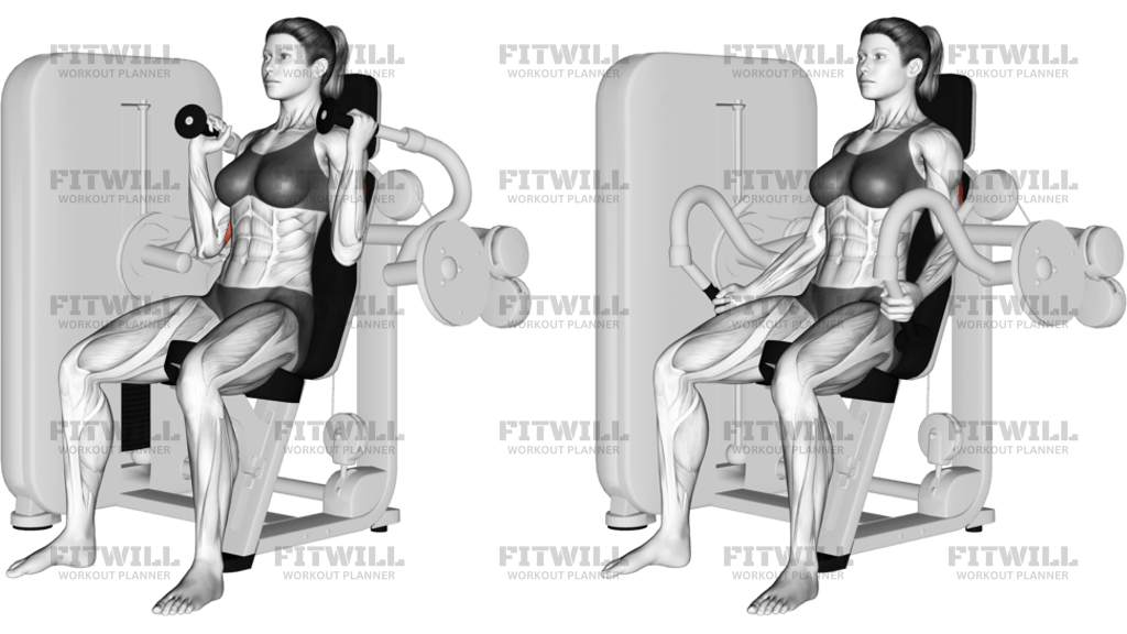 Lever Triceps Extension