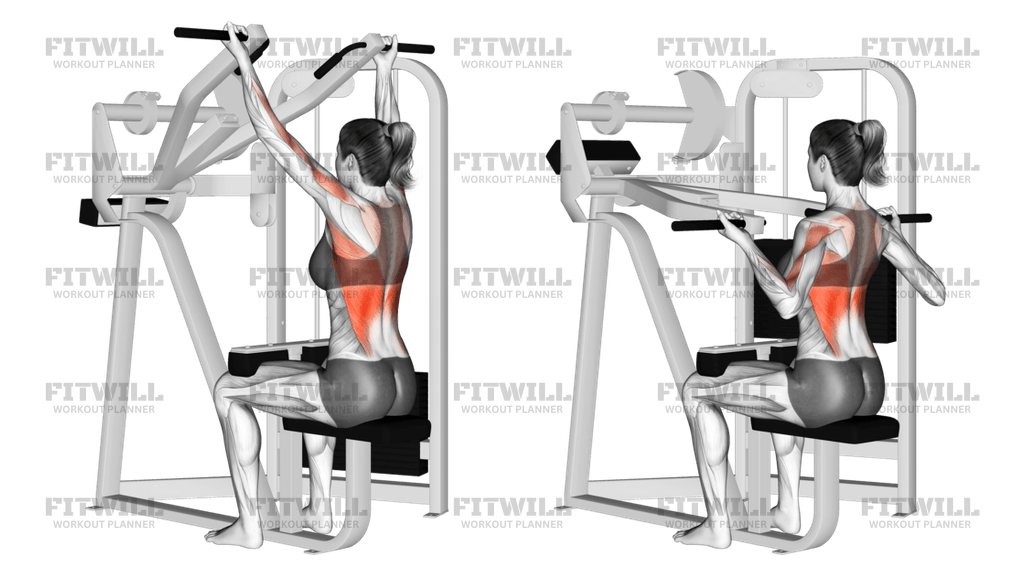 Reverse Grip Machine Lat Pulldown Exercise Guide Video Techniques