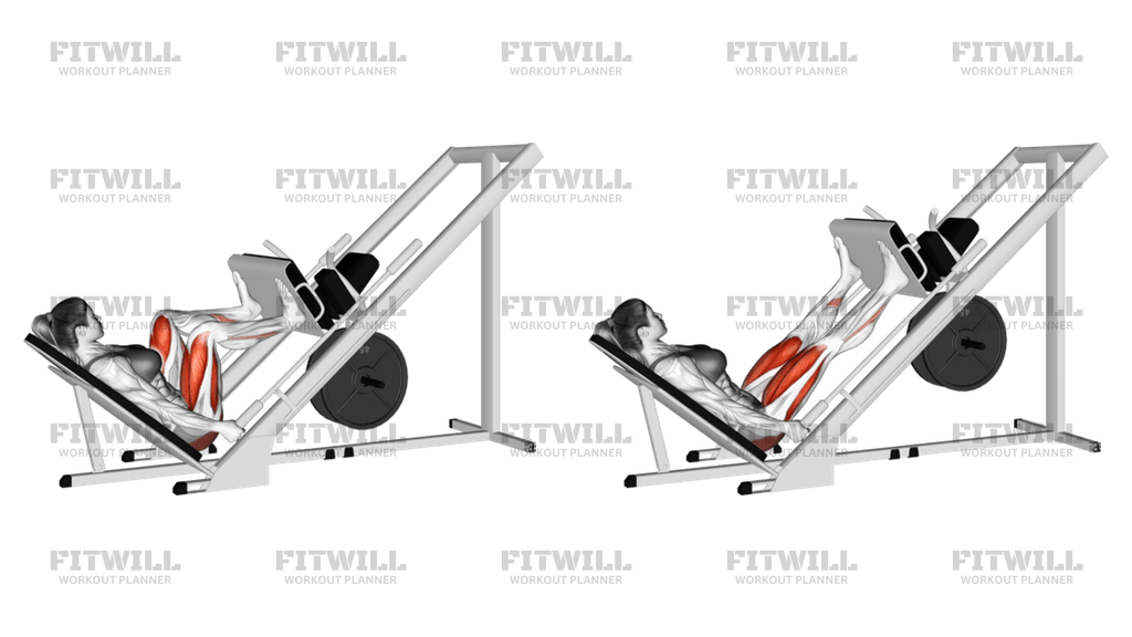 Leg press workout routine sale