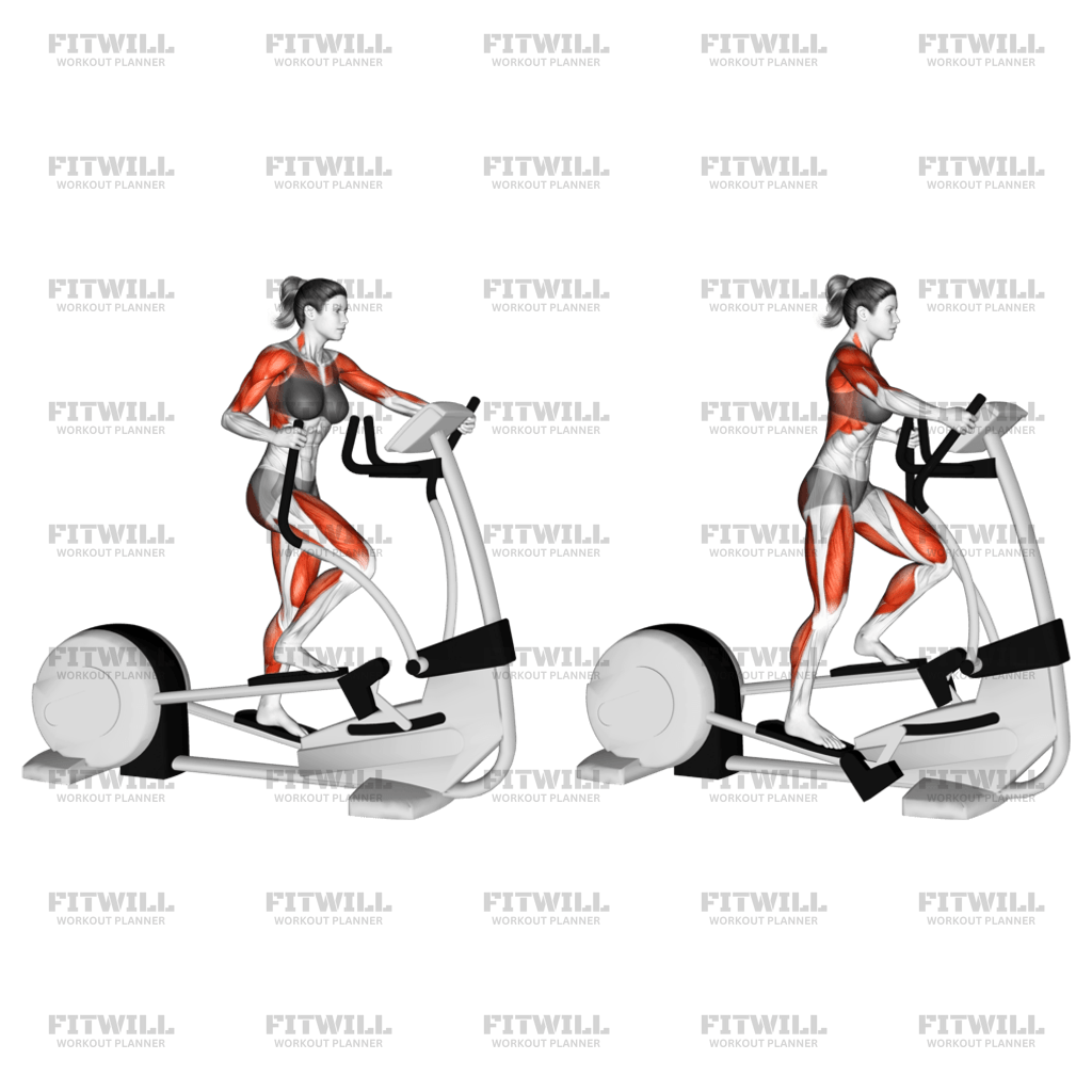 Walking cross trainer sale