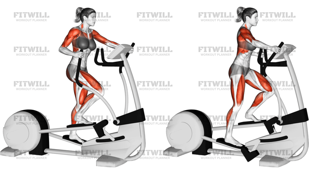 Walk Elliptical Cross Trainer