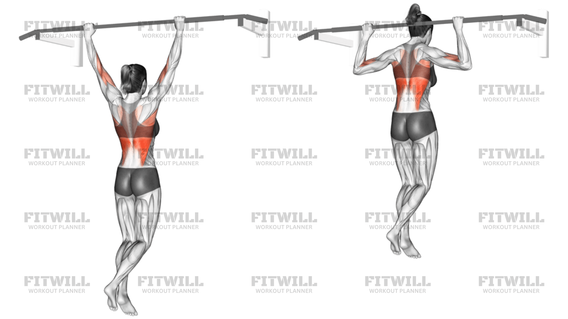 Wide Grip Rear Pull Up: Exercise Guide, Video, Techniques, Benefits ...