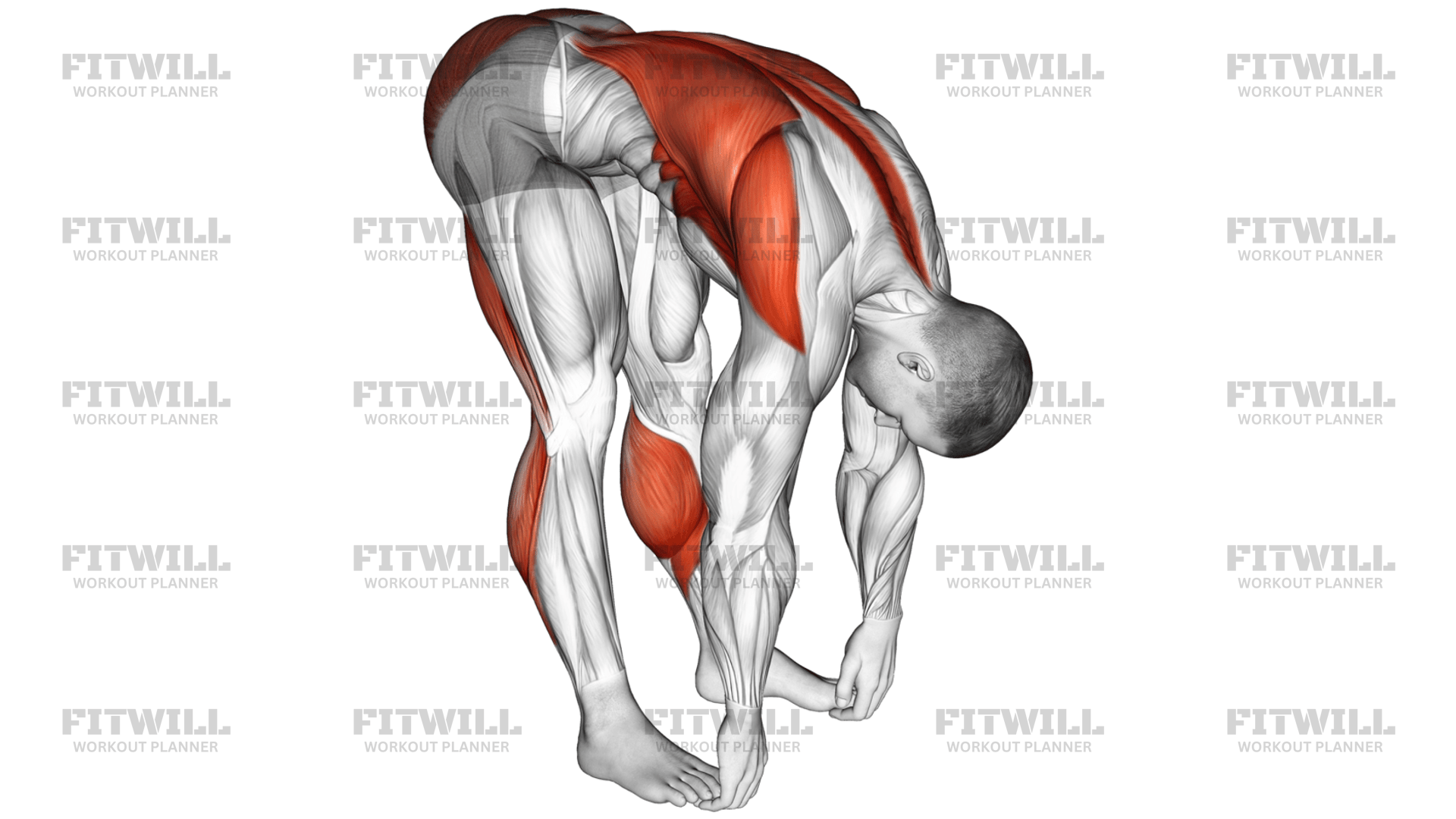 Standing Hamstrings And Back Stretch: Exercise Guide, Video, Techniques ...