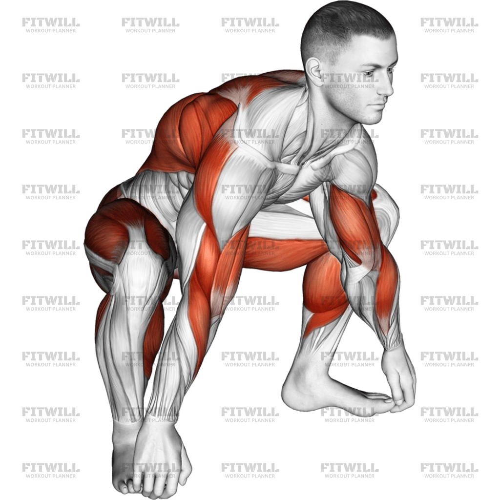 Sitting Sumo Mobility Stretch: Exercise Guide, Techniques, Benefits ...