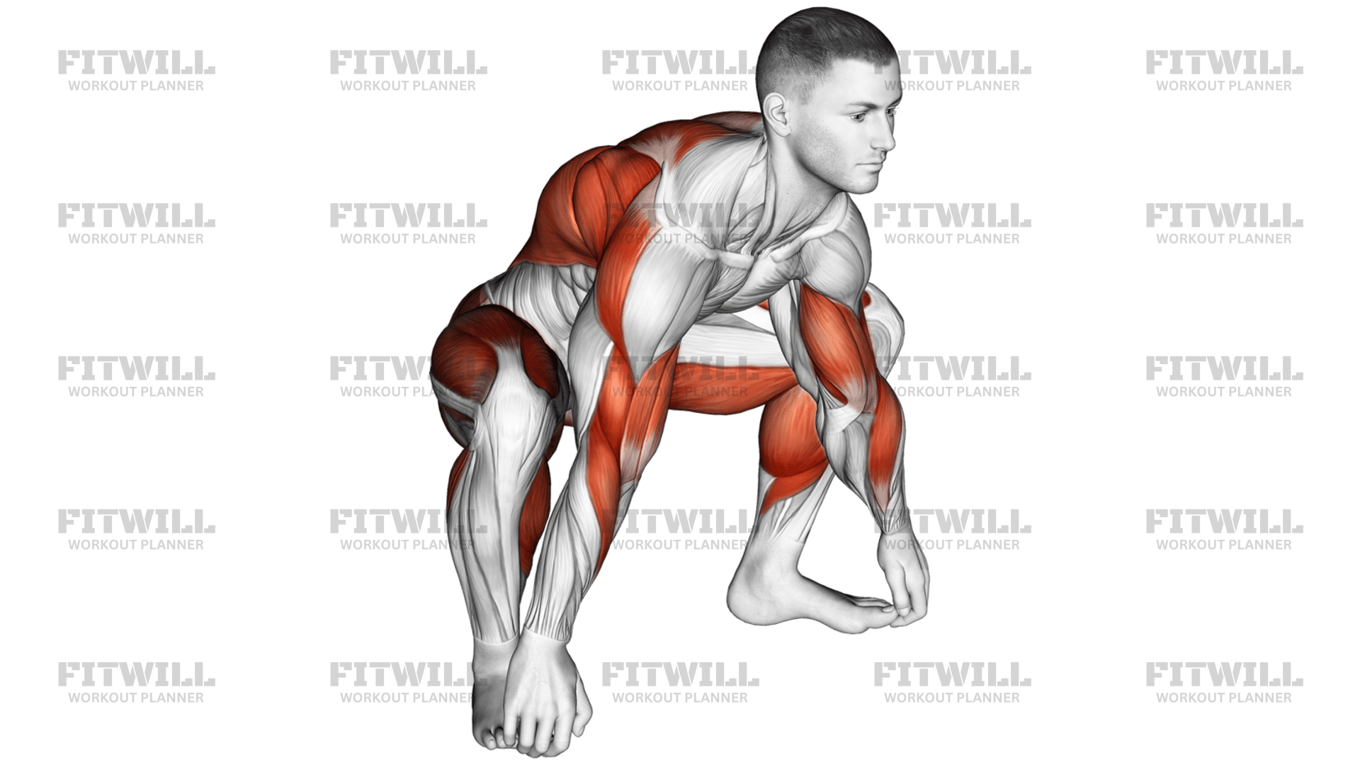 Sitting Sumo Mobility Stretch: Exercise Guide, Techniques, Benefits ...