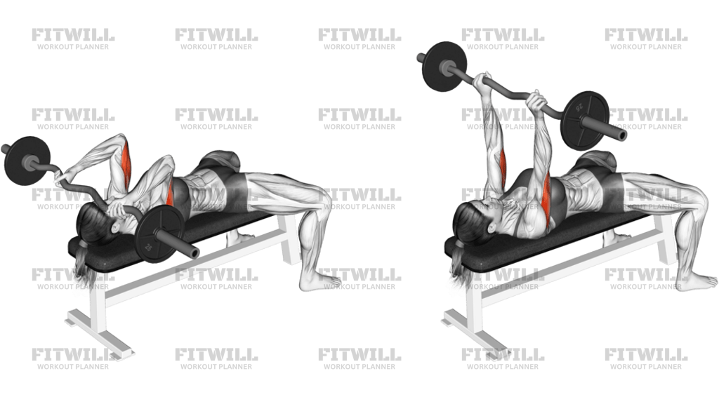 EZ-Barbell Lying Triceps Extension