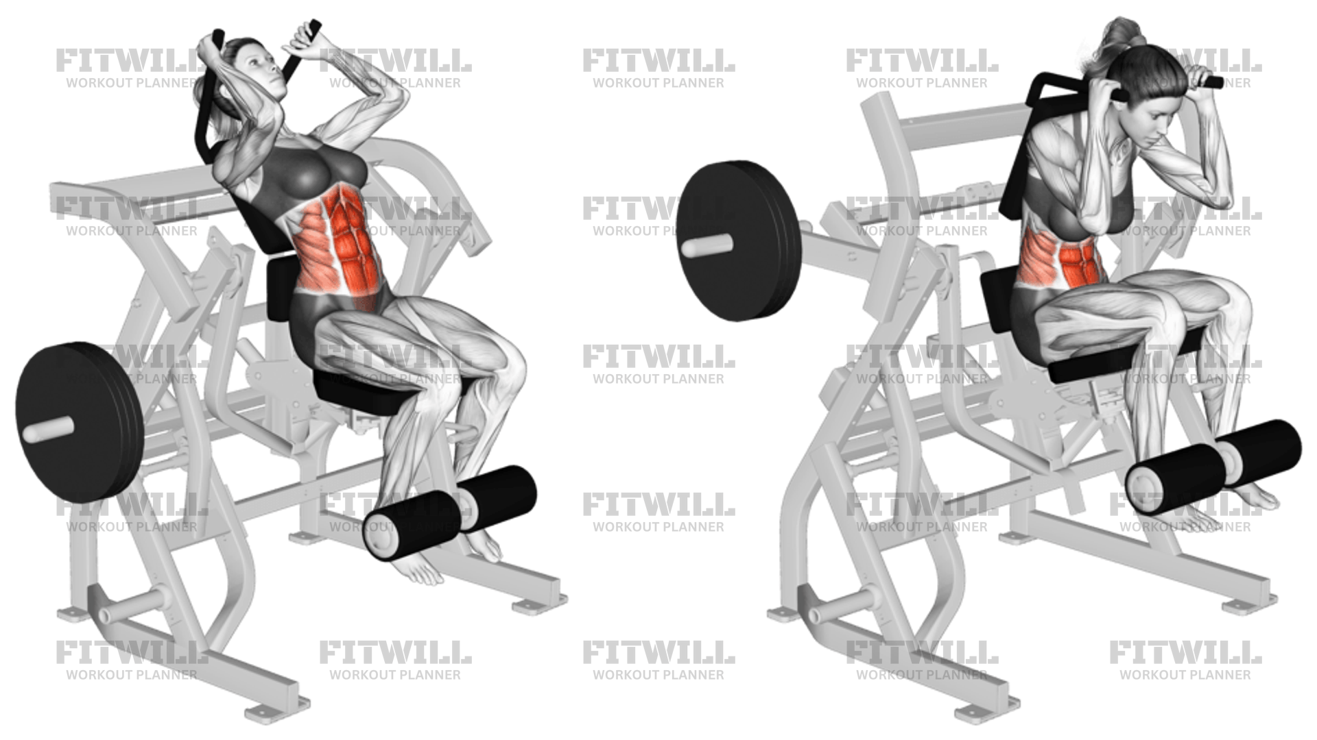 Lever Seated Leg Raise Crunch plate Loaded Exercise Video Fitwill