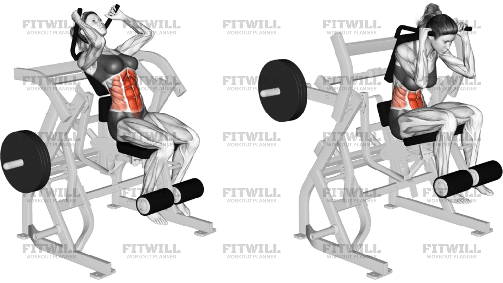 Lever Seated Leg Raise Crunch Plate Loaded
