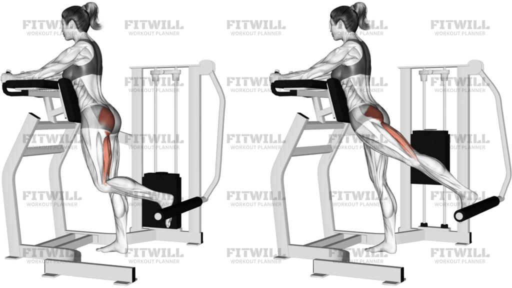 Lever Standing Hip Extension