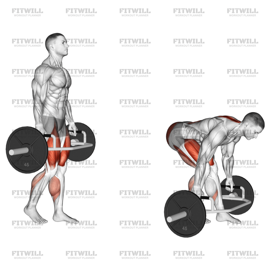 Trap Bar Split Stance RDL Exercise Guide Techniques Benefits How to Muscles Worked Tips Tricks Fitwill