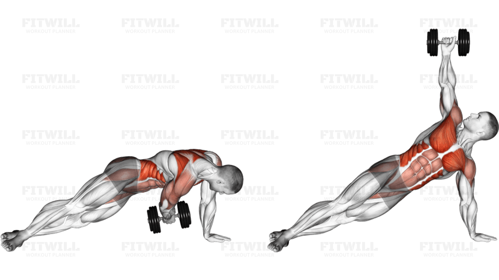 Dumbbell Side Plank with Rear Fly