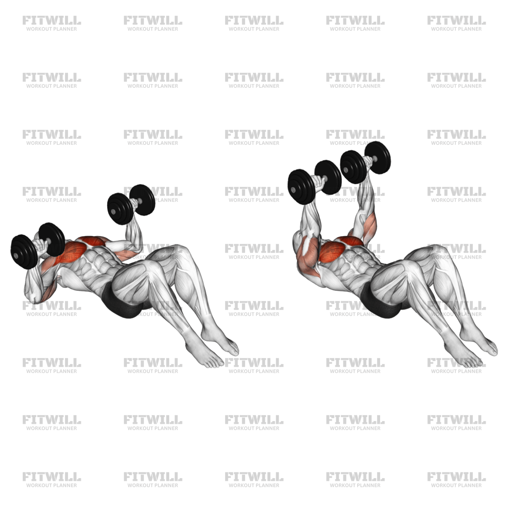 Dumbbell Floor Chest Press Exercise Guide Video Techniques Benefits How to Muscles Worked Tips Tricks Fitwill